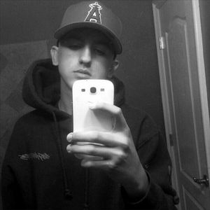 Meet your Posher, Dominick